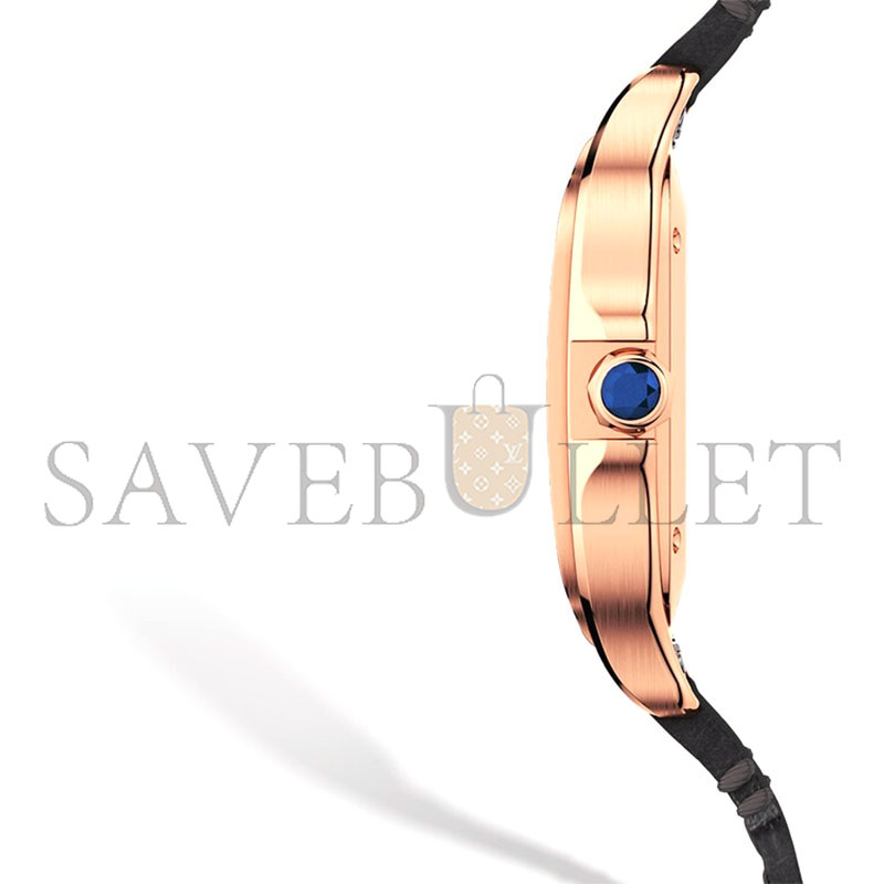 CARTIER SANTOS DE CARTIER WATCH WGSA0028